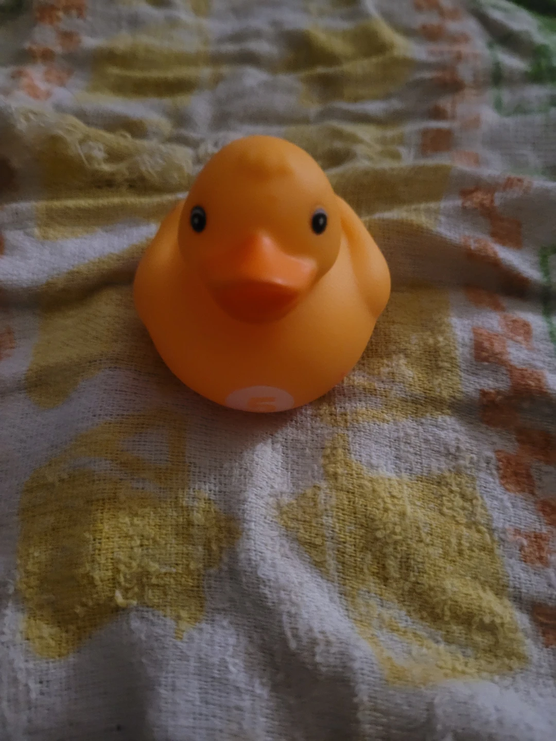 Rubber duck