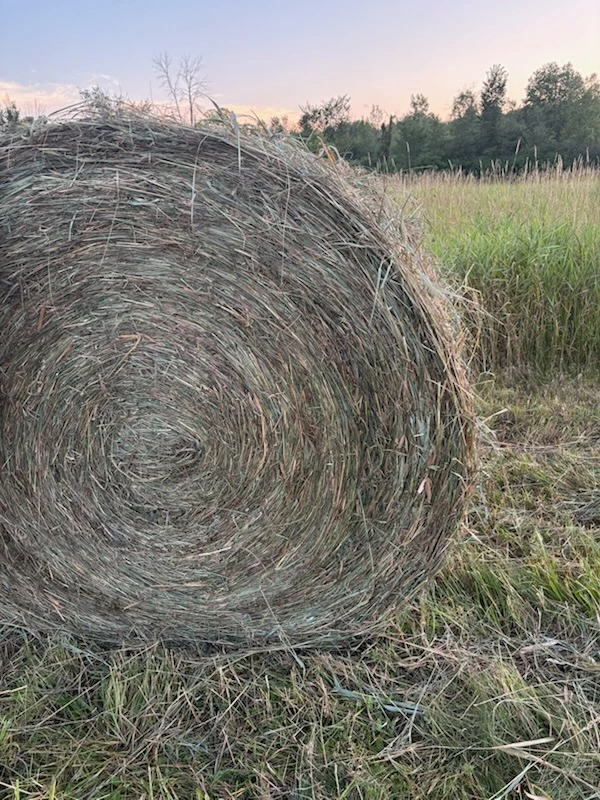 Round Hay Bale