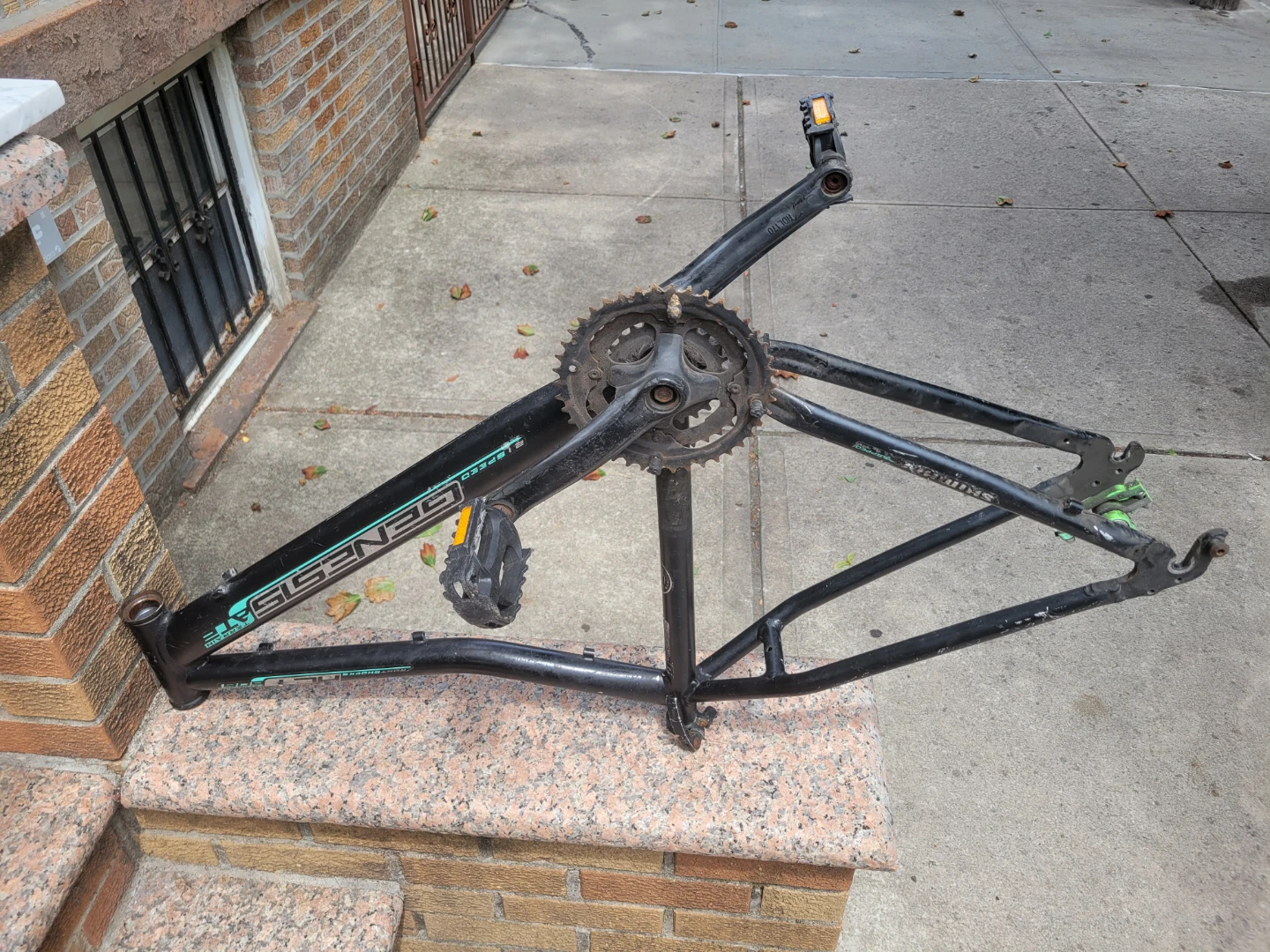 Genesis Bicycle Frame