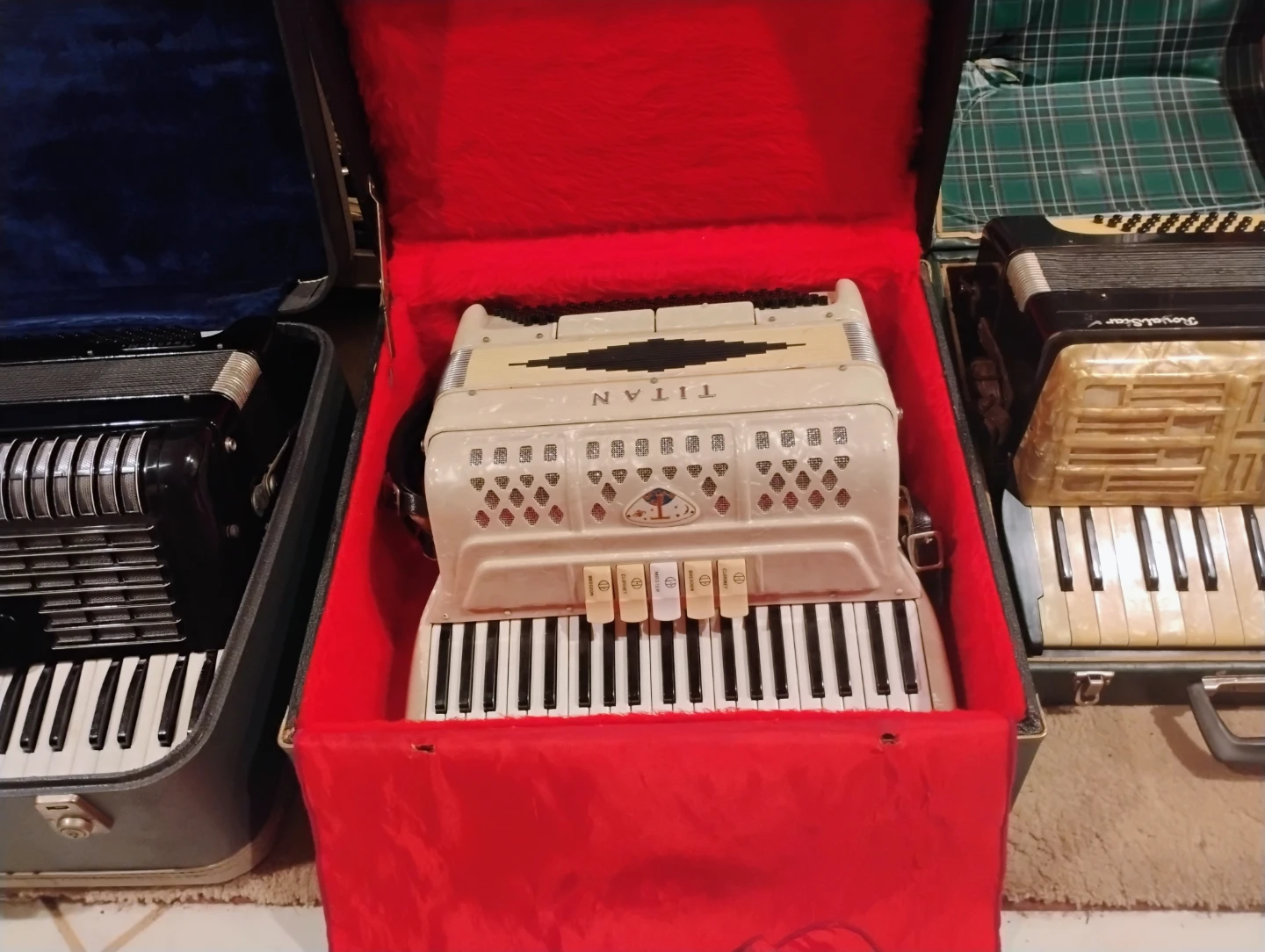 Accordions in Cases