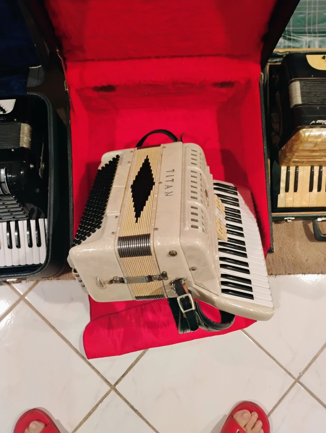 Accordions in Cases - photo 2