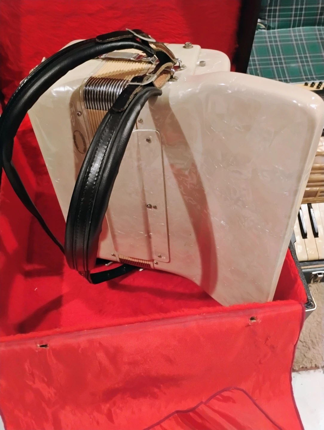 Accordions in Cases - photo 3