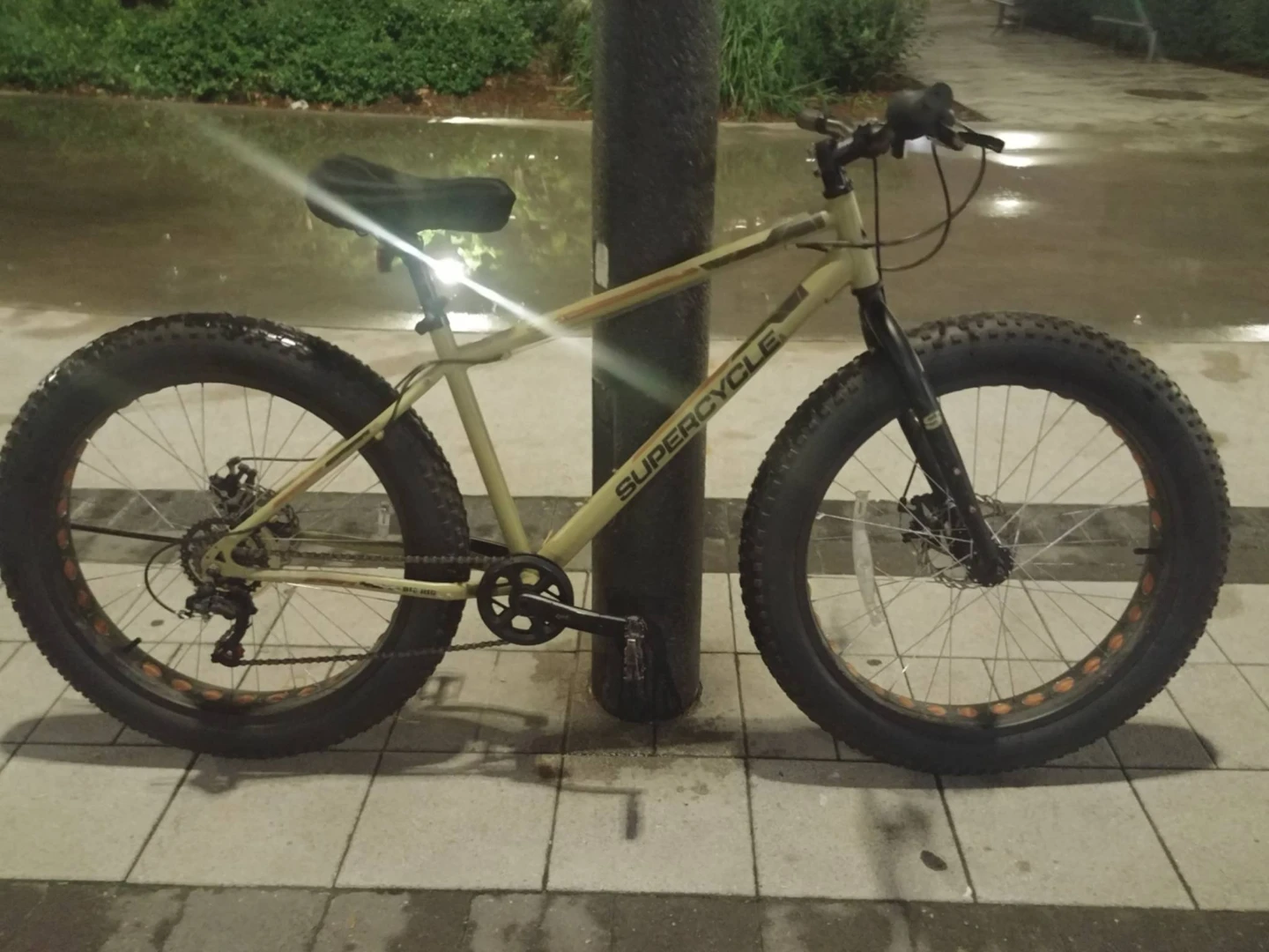 Big Rig Fat Tire Bike - photo 5