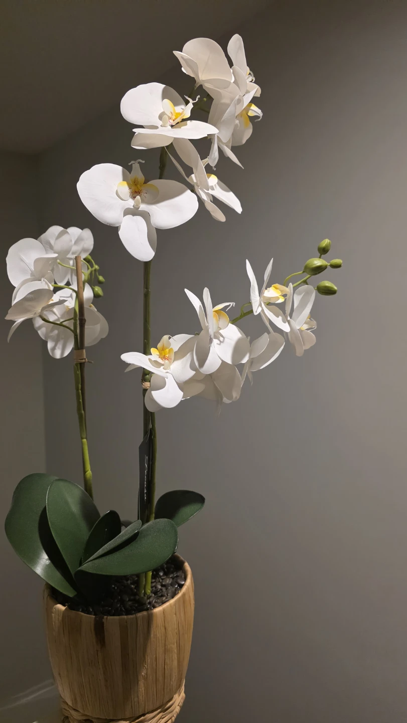 Artificial White Orchid Plant in Wooden Pot