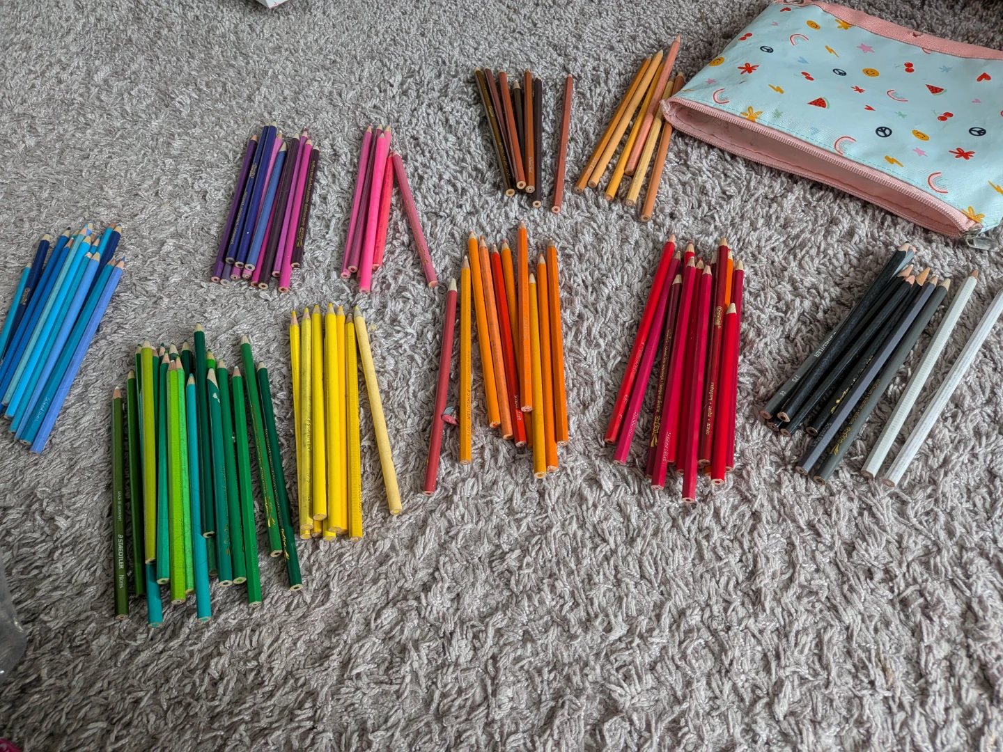 Coloured Pencils + pencil case (Assorted Colours)