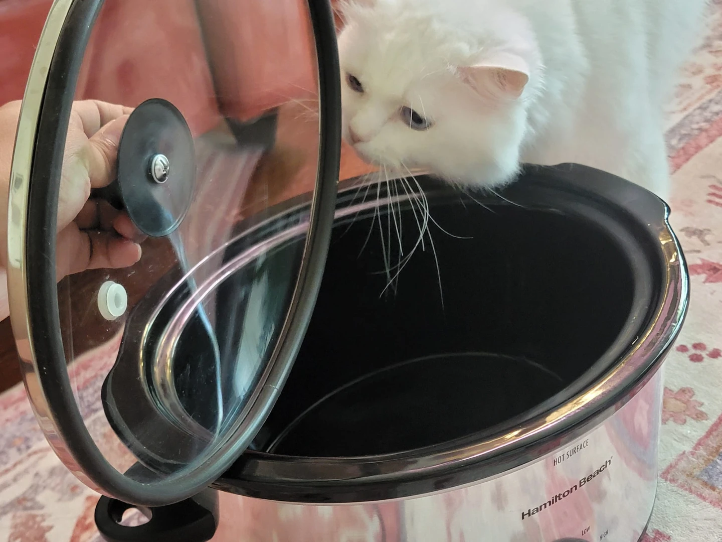 Slow cooker