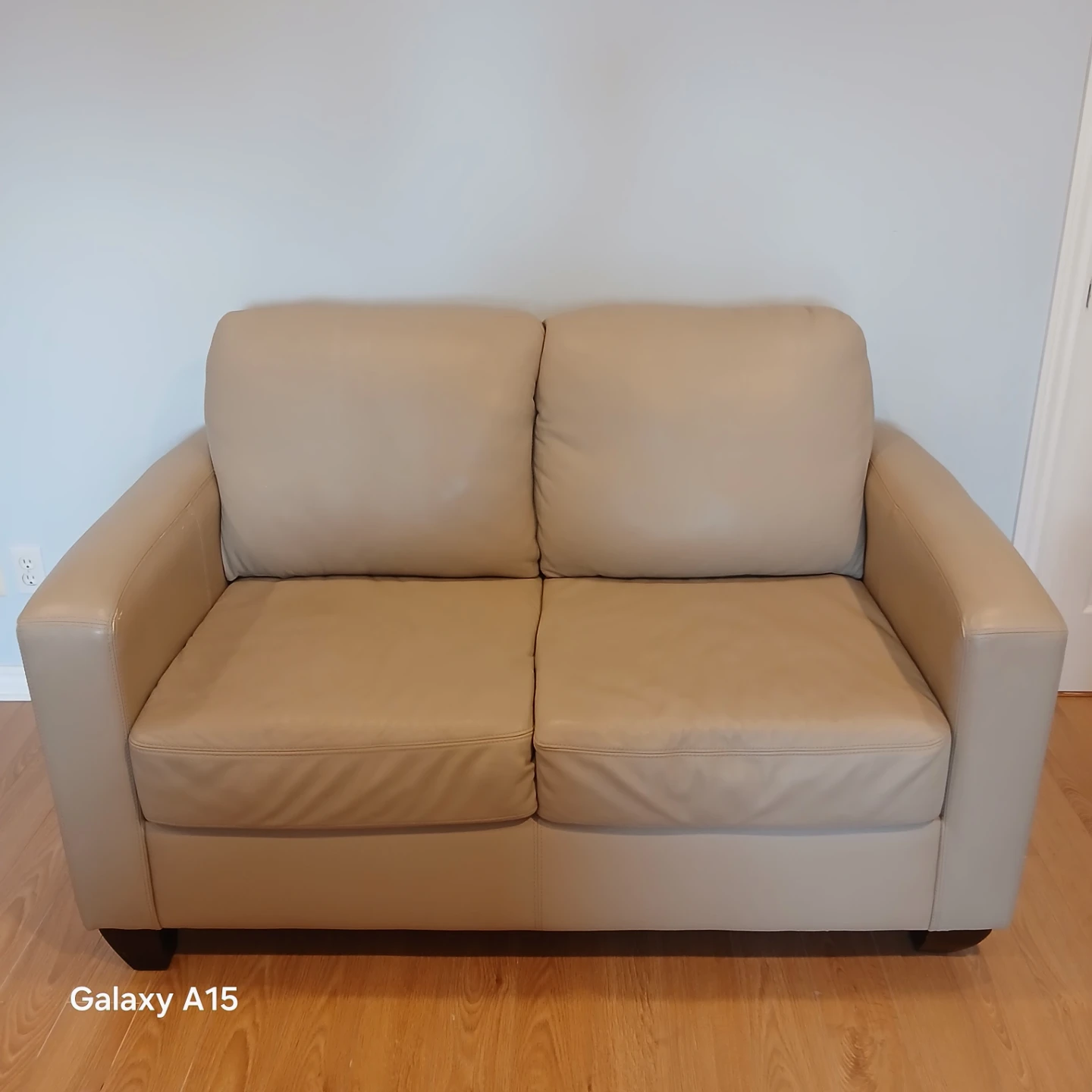 MOVING SALE - Tan Leather Loveseat Sofa Set of 2