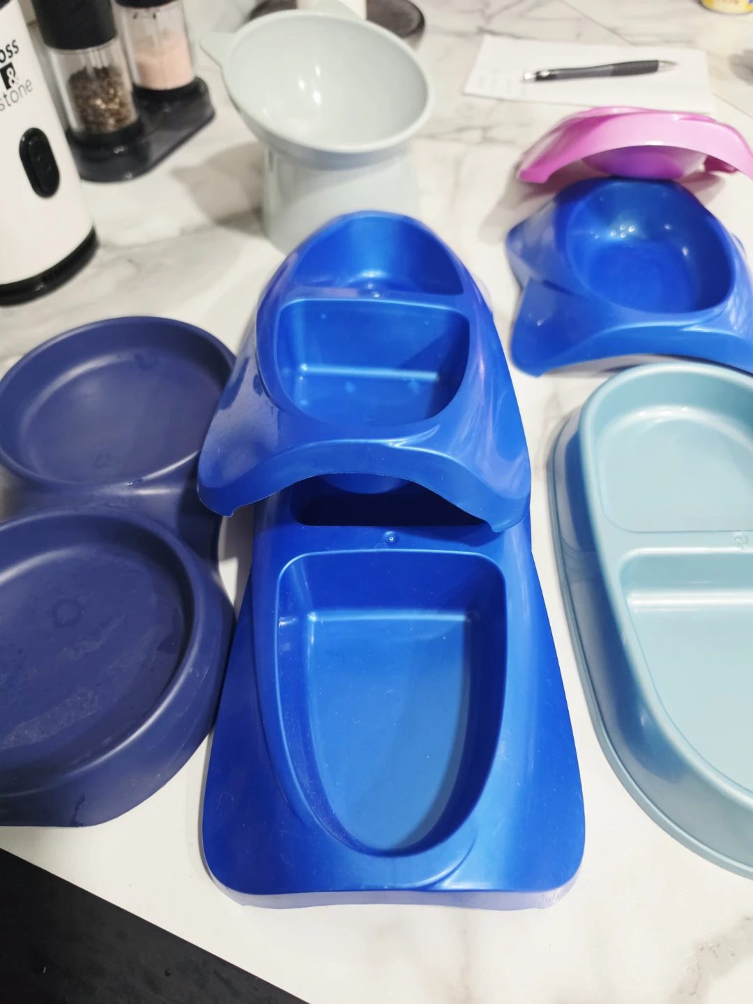 Cat water bowls