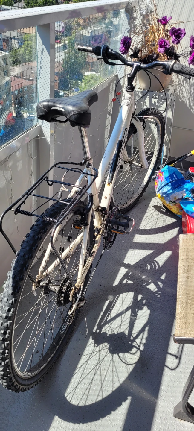White Mountain Bike with Rear Rack