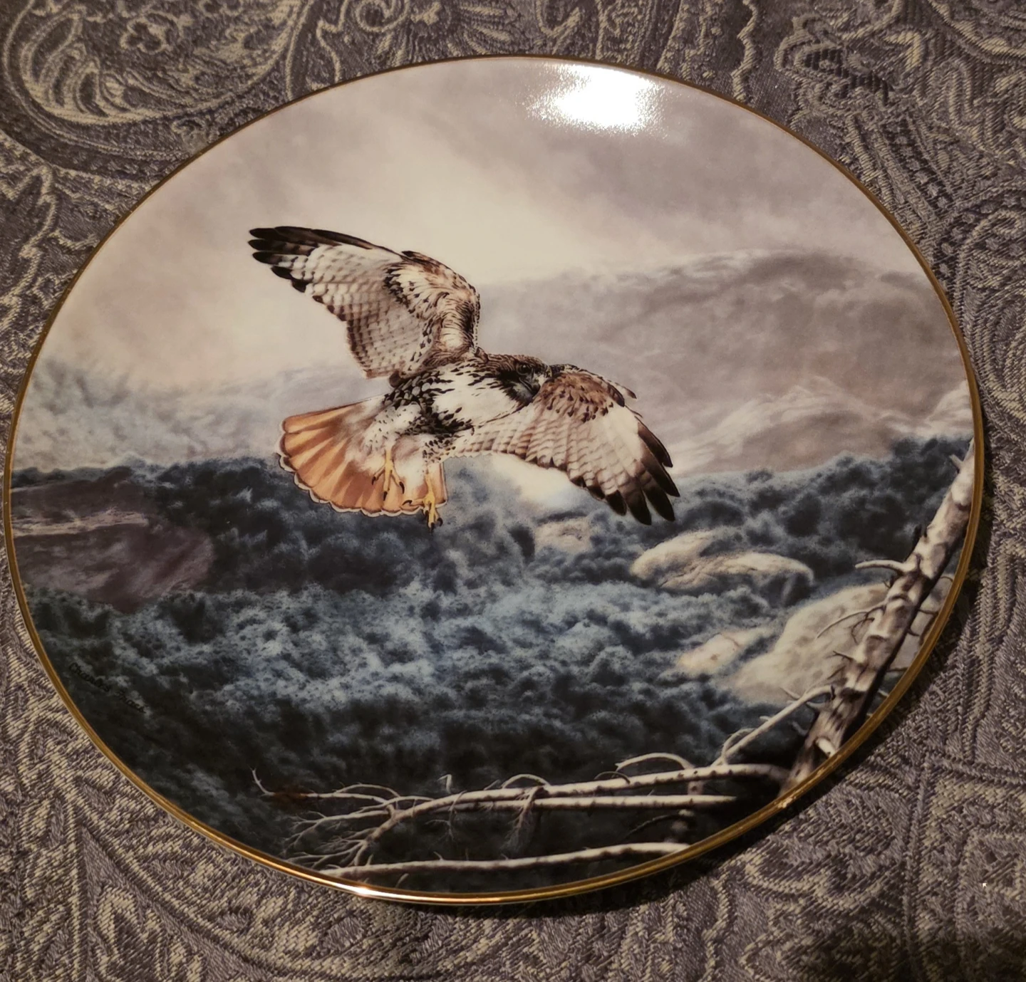 The Red-Tailed Hawk Collector Plate