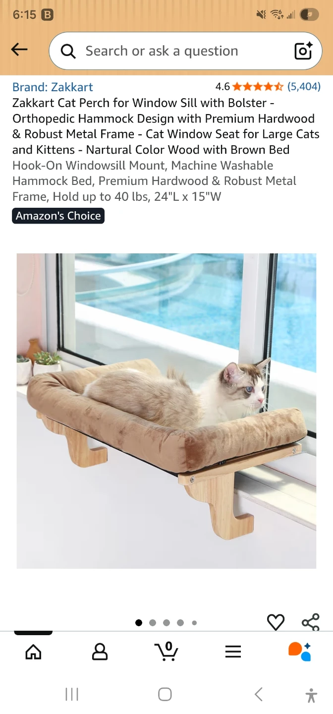 Cat Window Perch