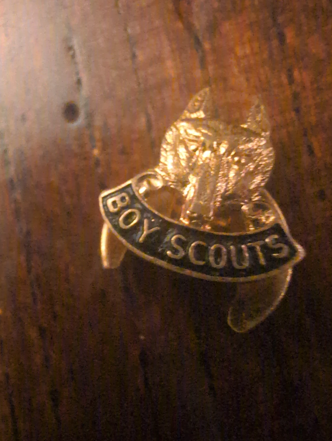 Vintage Boy Scouts Wolf Scout Lapel Pin