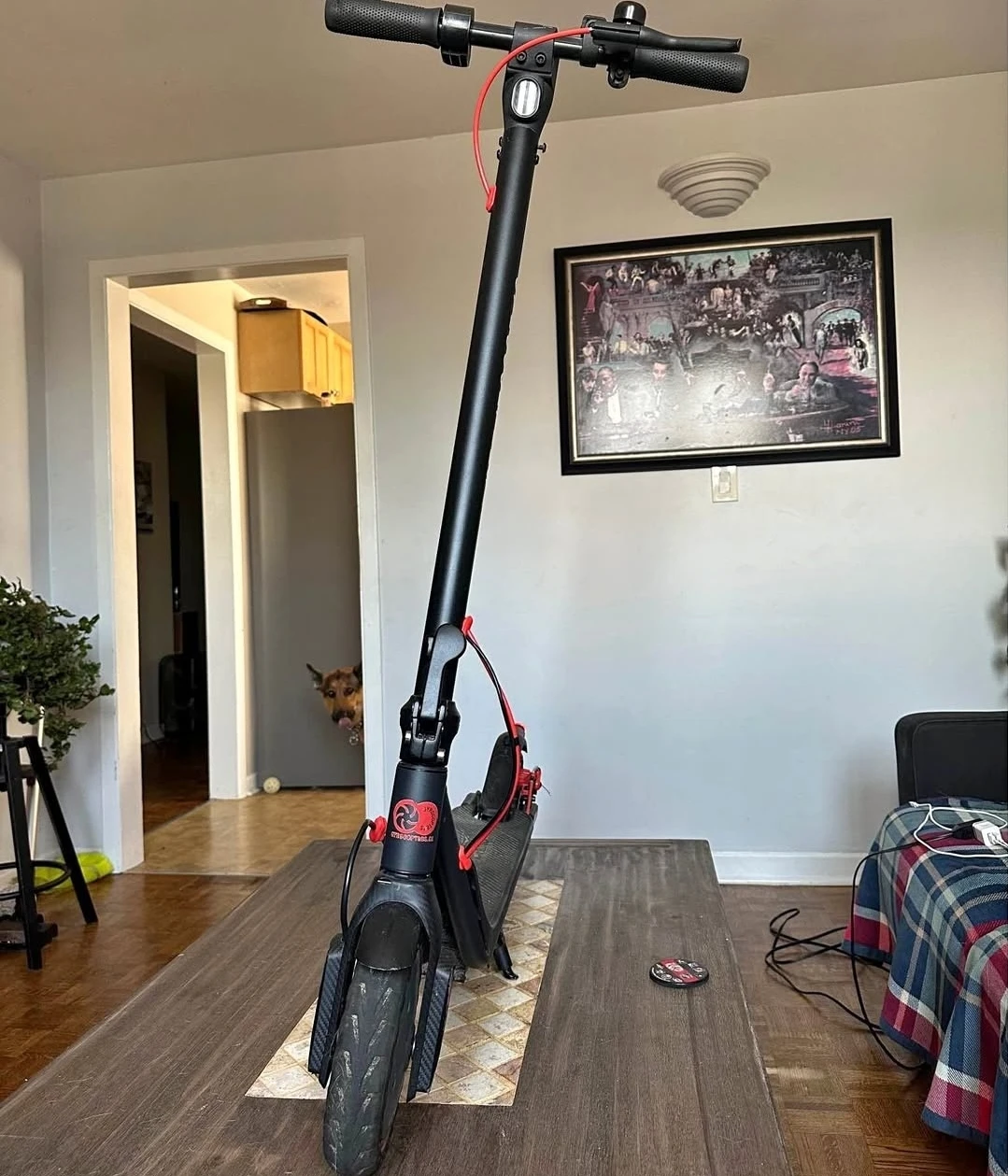 URBNTRL Electric Scooter