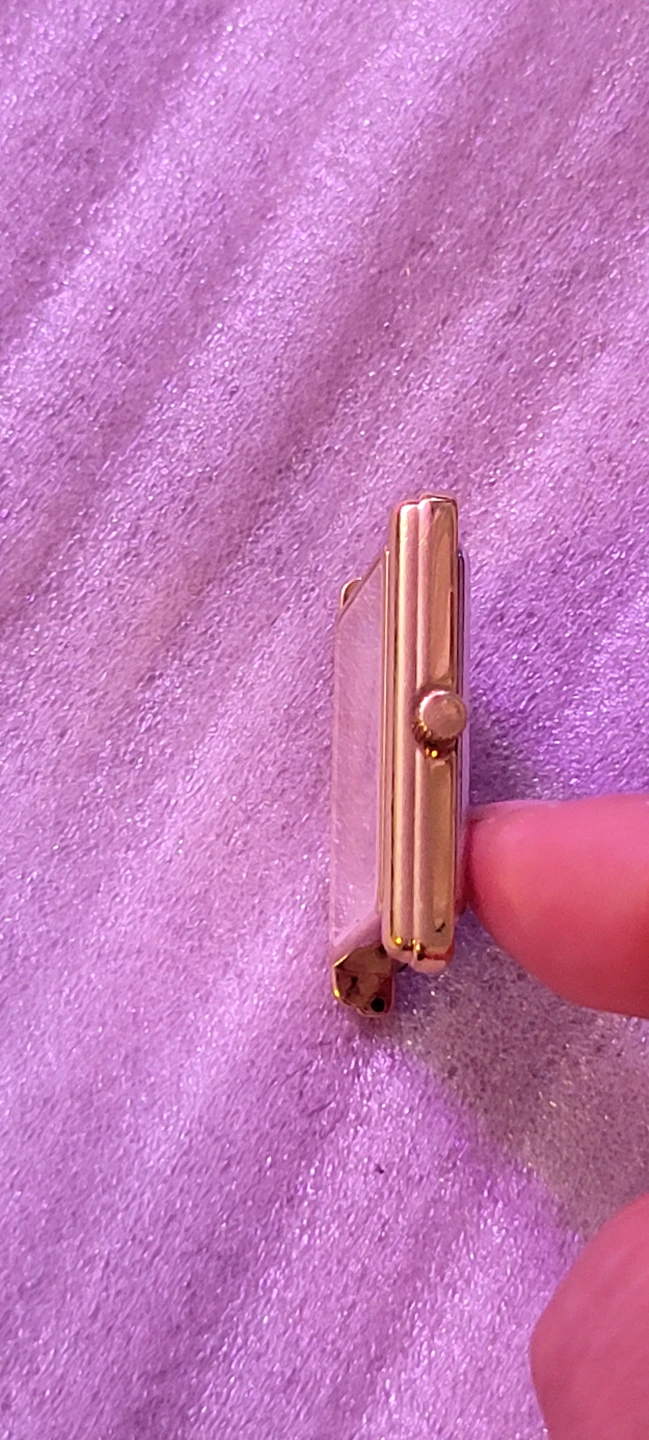 Wittnauer Watch Case - photo 3