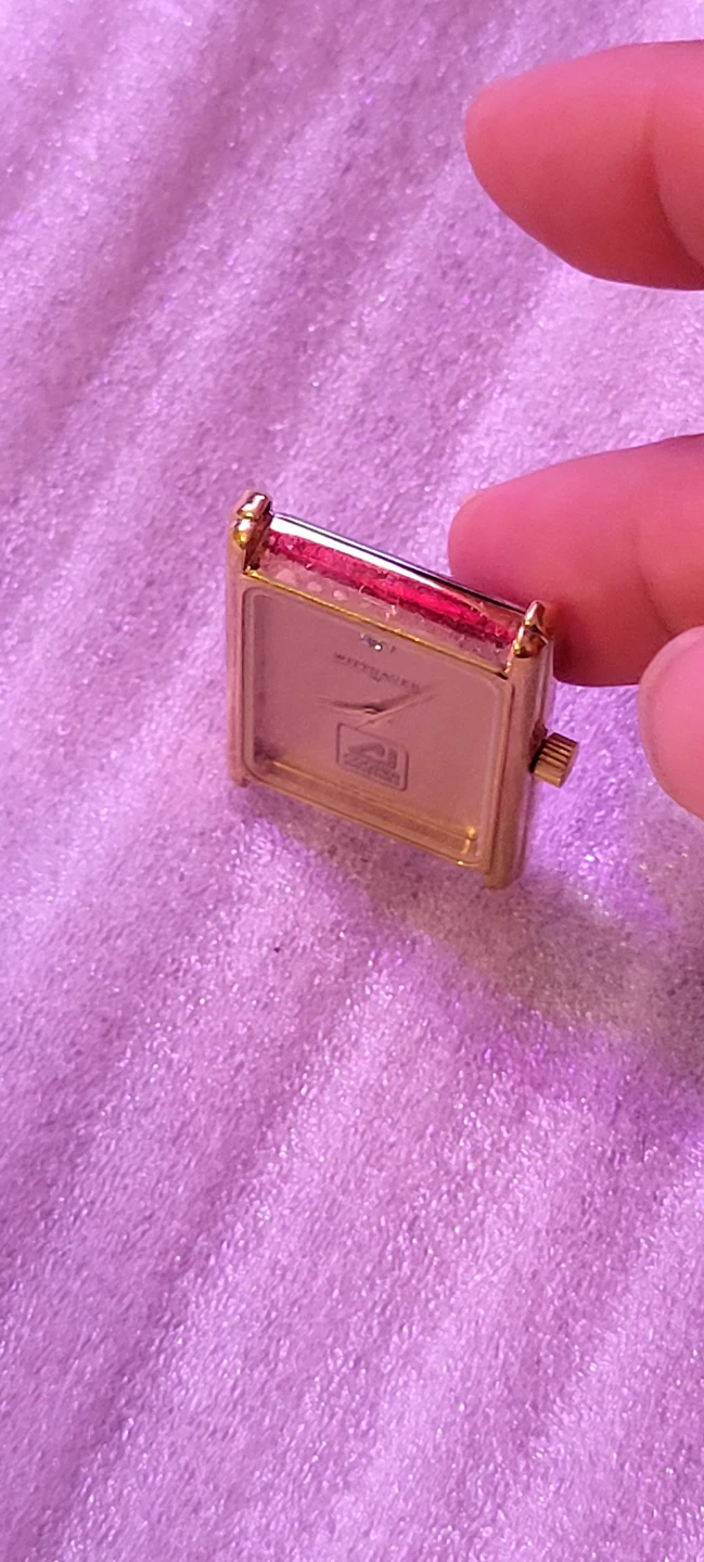 Wittnauer Watch Case - photo 4