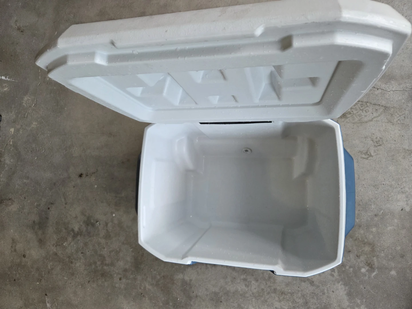 Coleman Xtreme Cooler 50 Quart Blue - photo 3