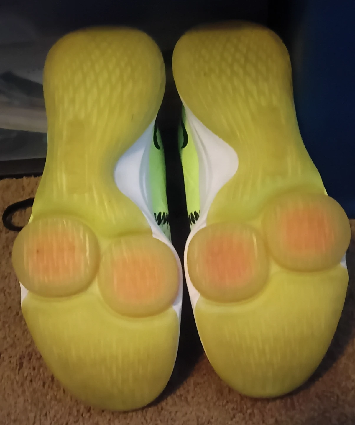 Nike Zoom Running Shoes