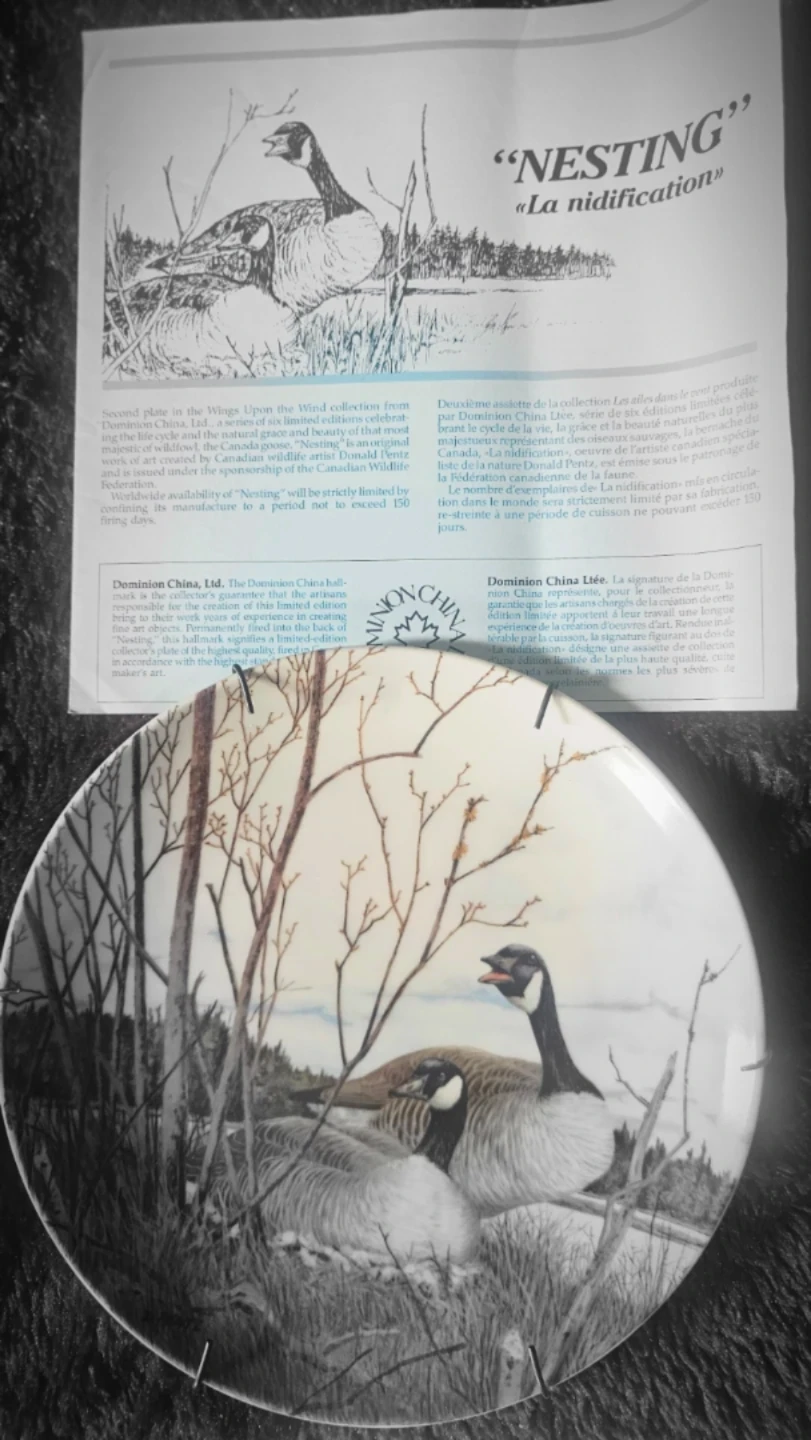 Collectable Vintage Plates in perfect  condition. - photo 3