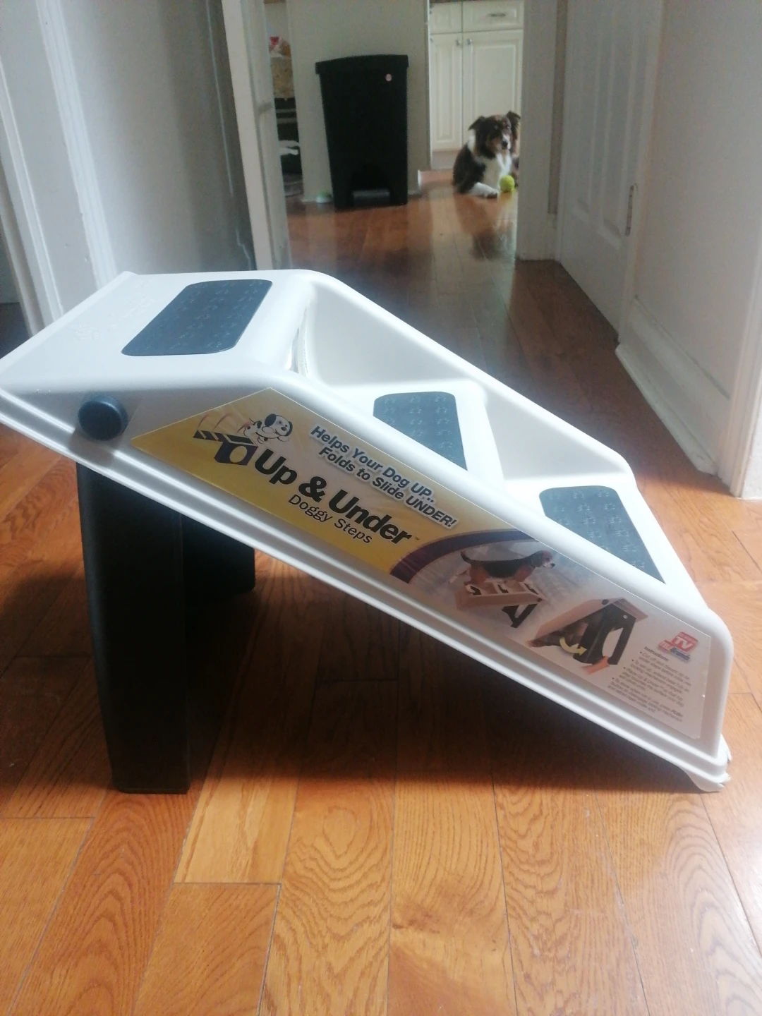Up & Under Doggy Steps