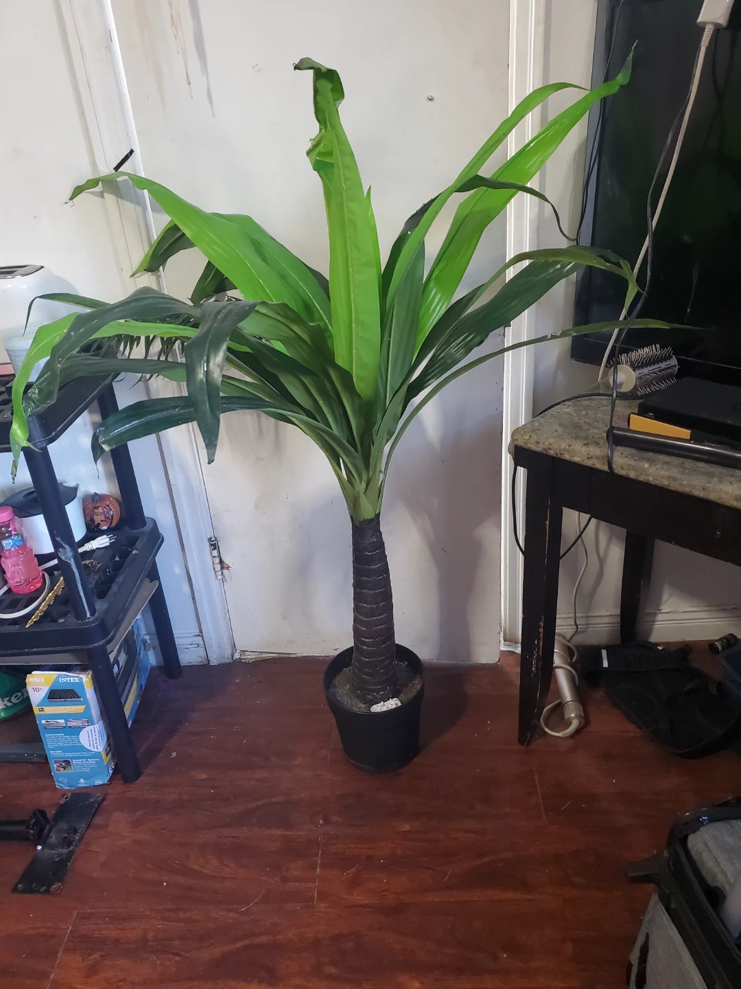 Artificial Dracaena Plant - photo 2