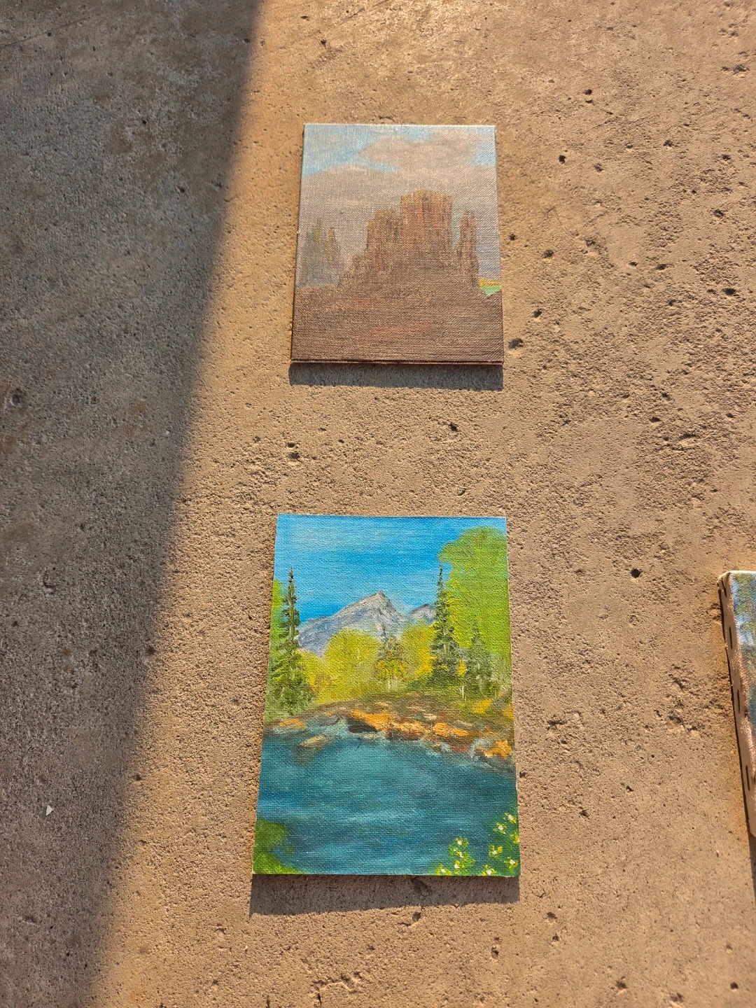 Original Canvas Paintings (Set of 2)