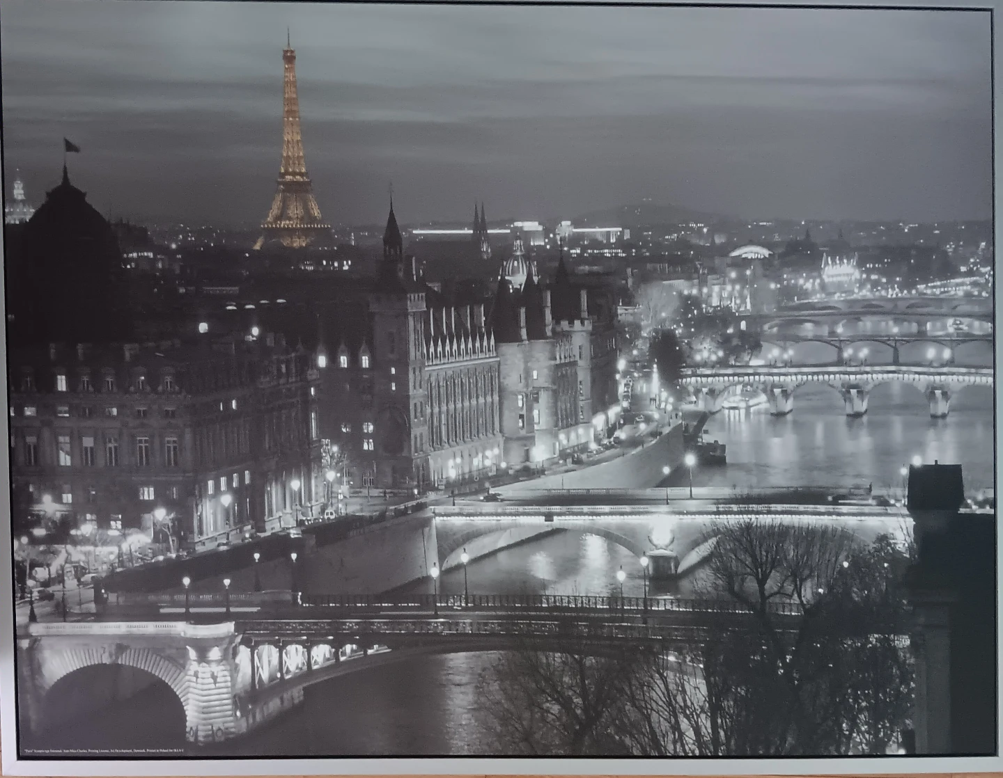 IKEA VILSHULT Paris Cityscape Framed Picture Print - photo 5