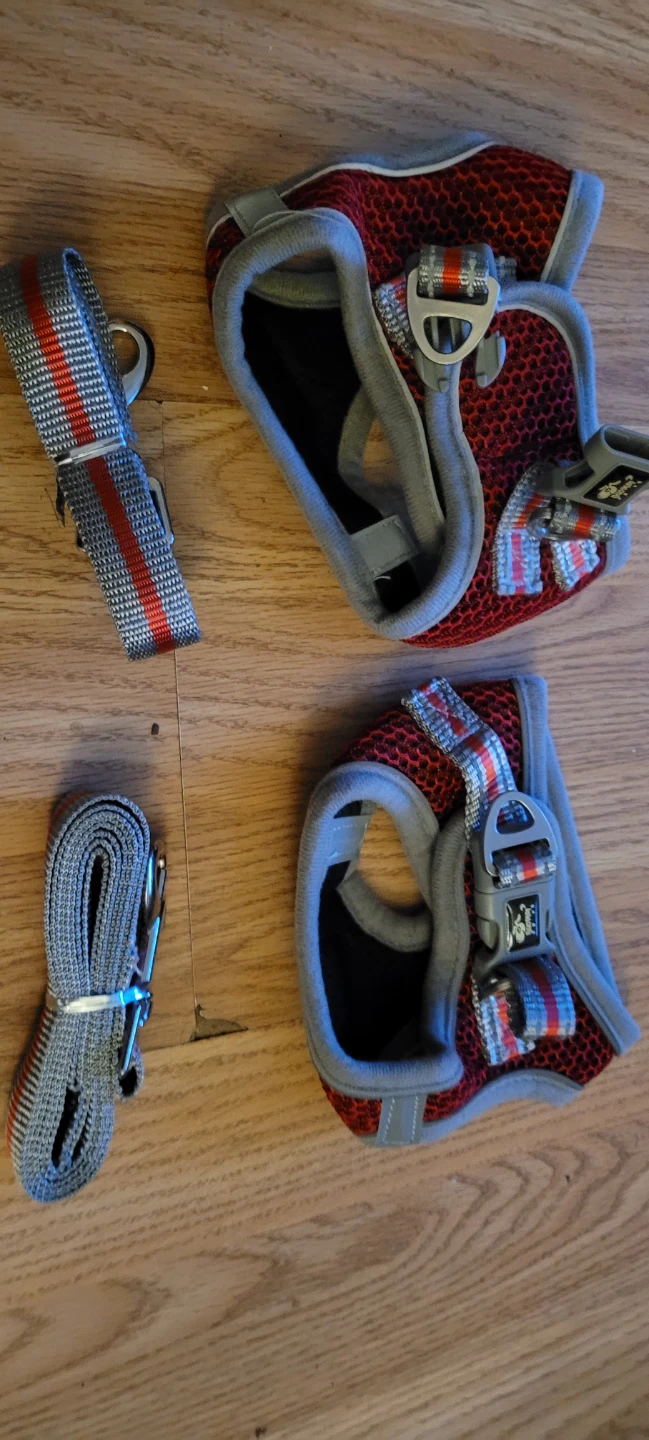 Three Duomm dog harnesses with leashes - photo 5