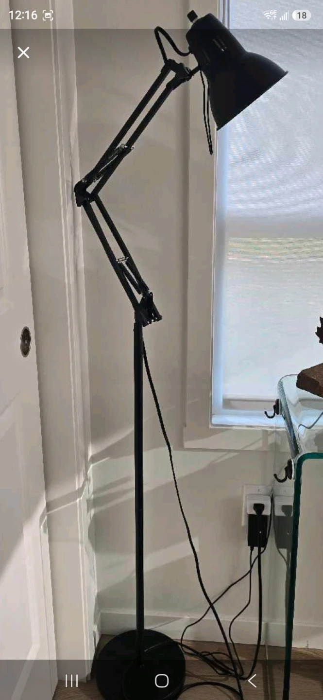 Black Articulating Floor Lamp