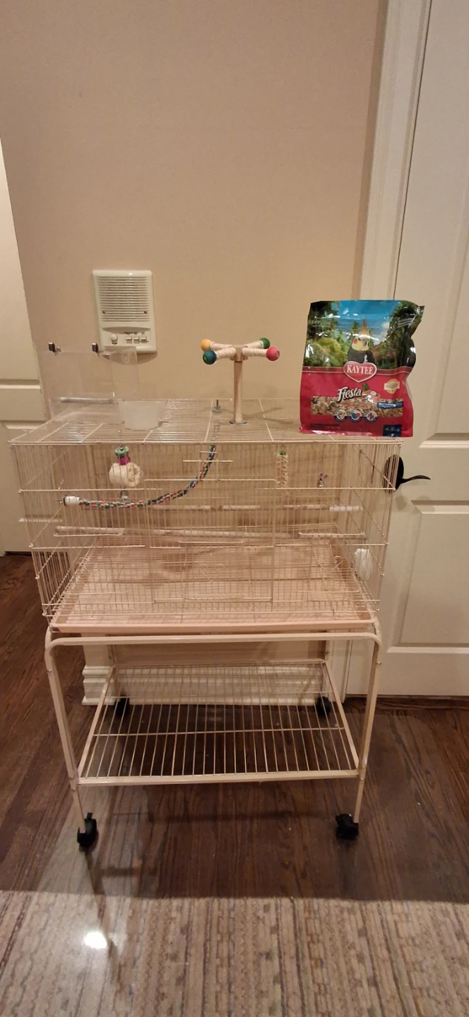 Bird cage + bird play ground