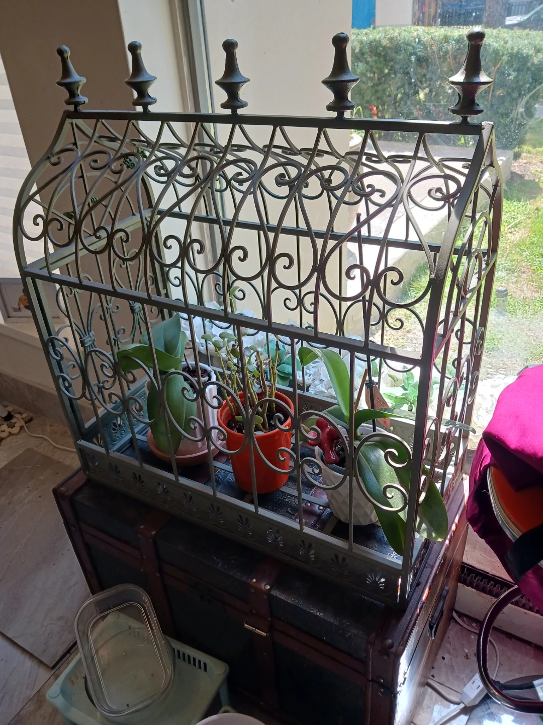 Ornate Metal Terrarium/Plant Display