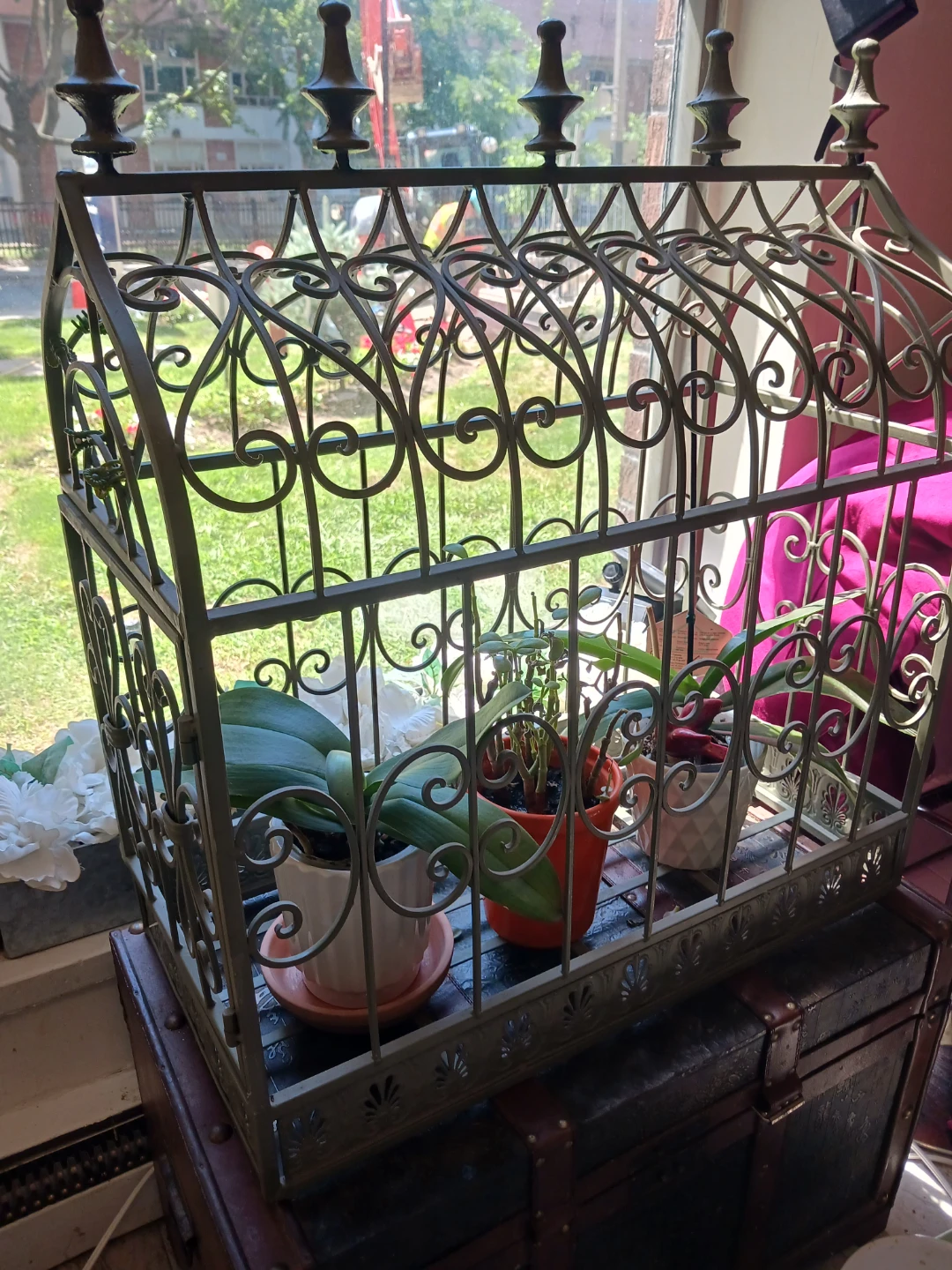 Ornate Metal Terrarium/Plant Display - photo 2