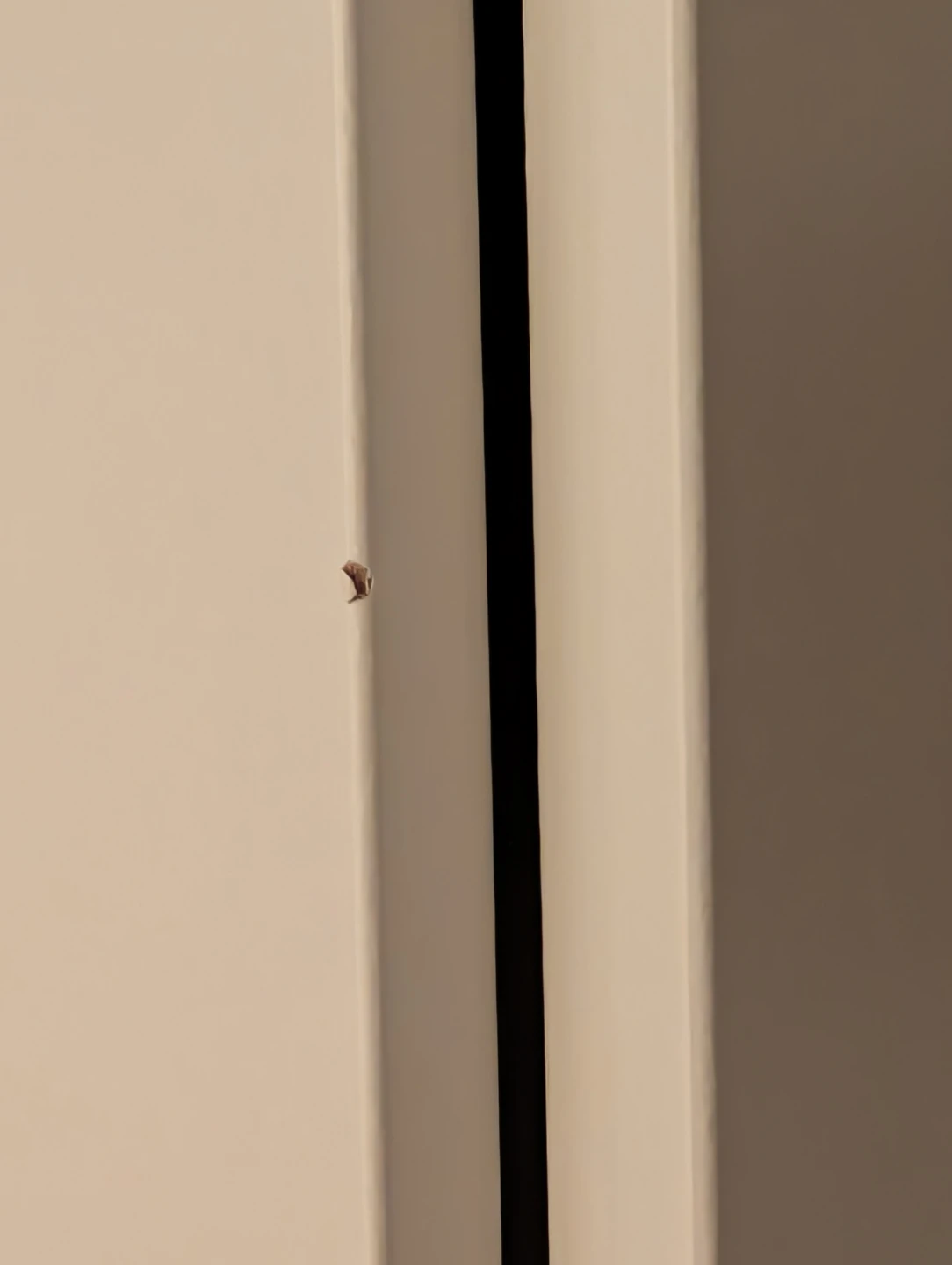 Ikea Kleppstad wardrobe with 3 doors - photo 3