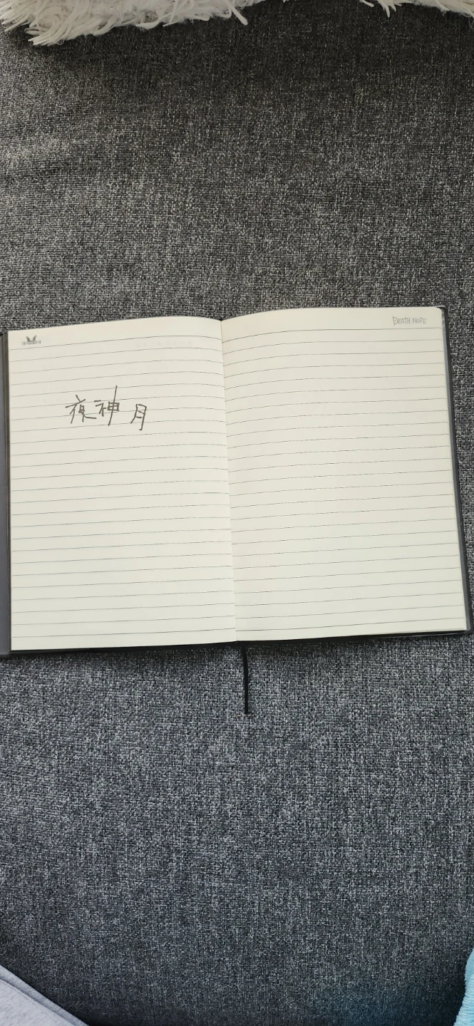 Death Note Notebook - photo 4