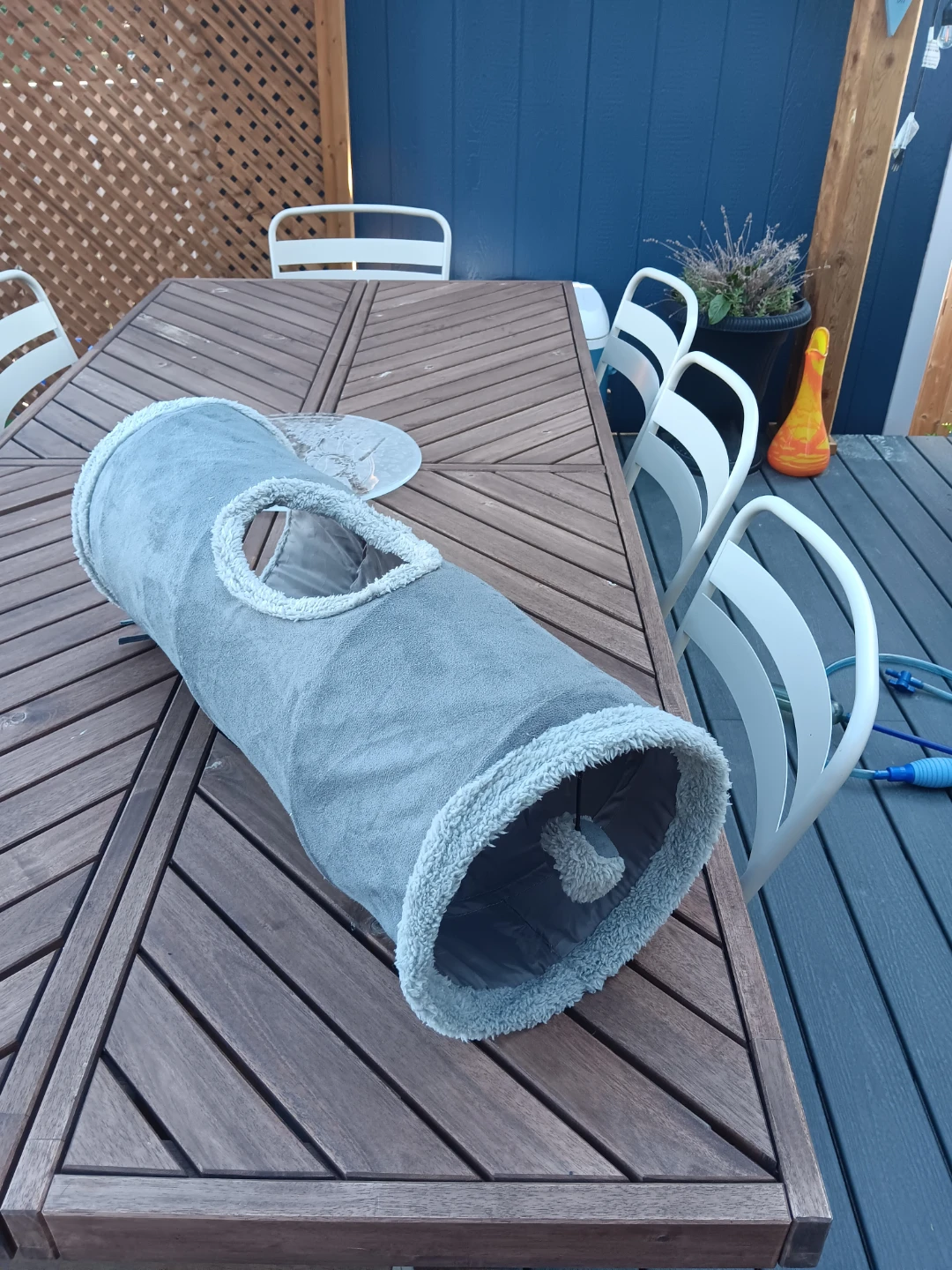 Grey Cat Tunnel with Toy