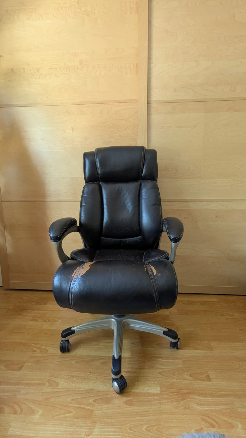 Costco office chair