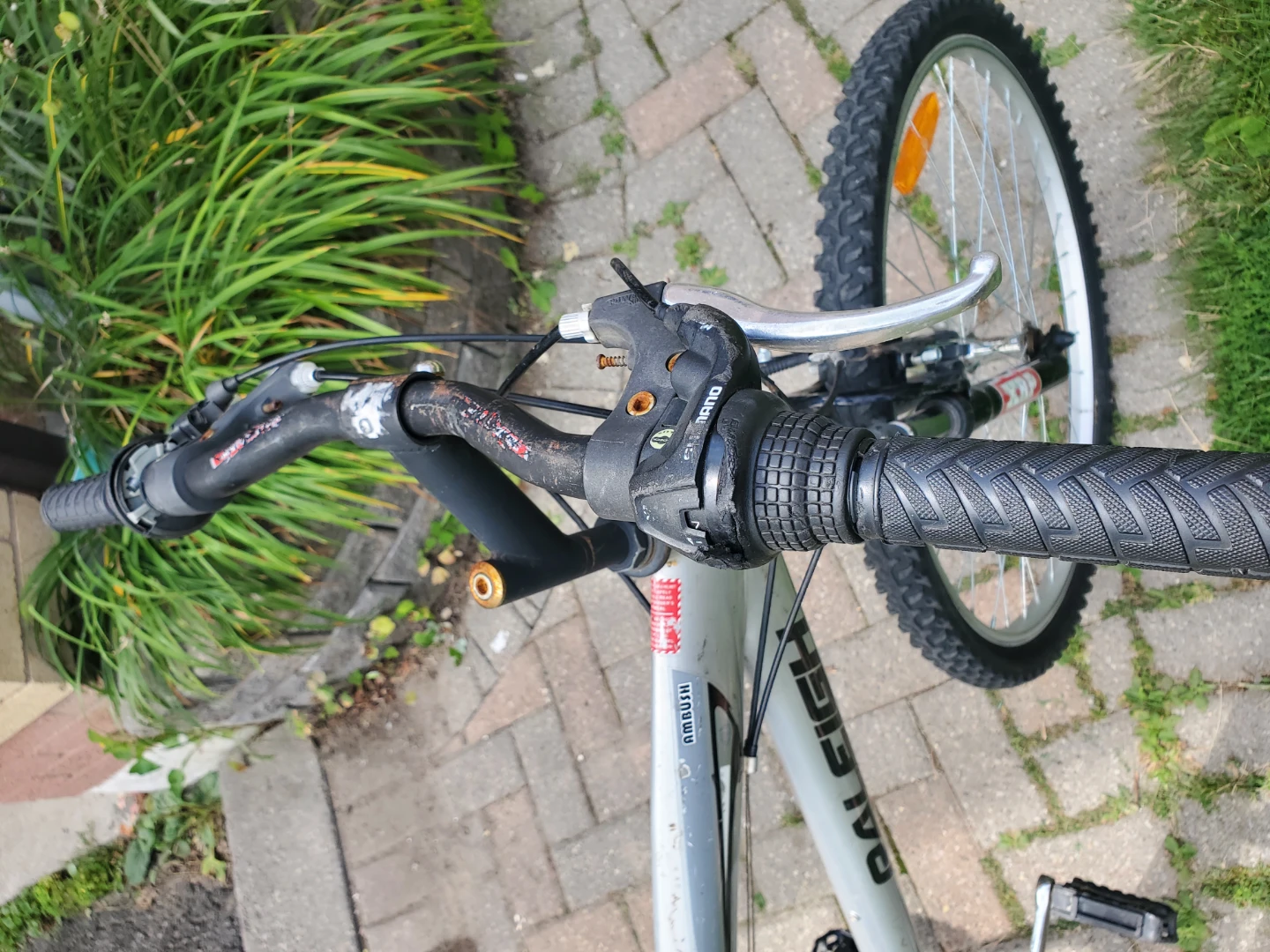 Silver Raleigh Ambush mountain bike - photo 3