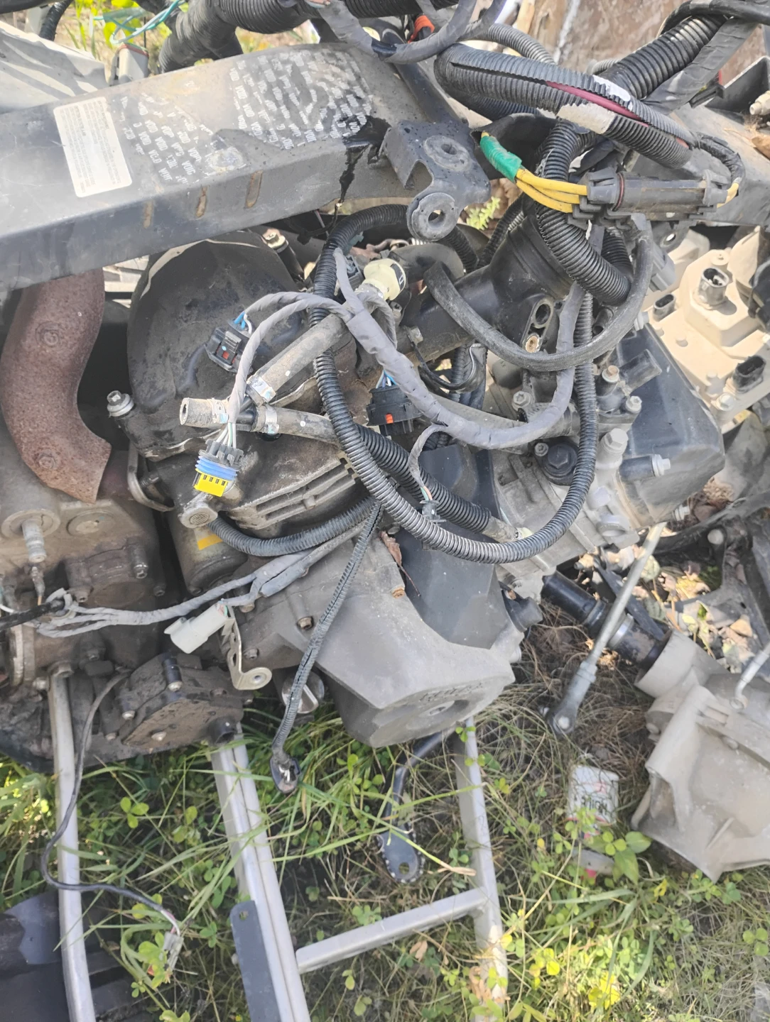 Rotax engine with frame and wiring harness