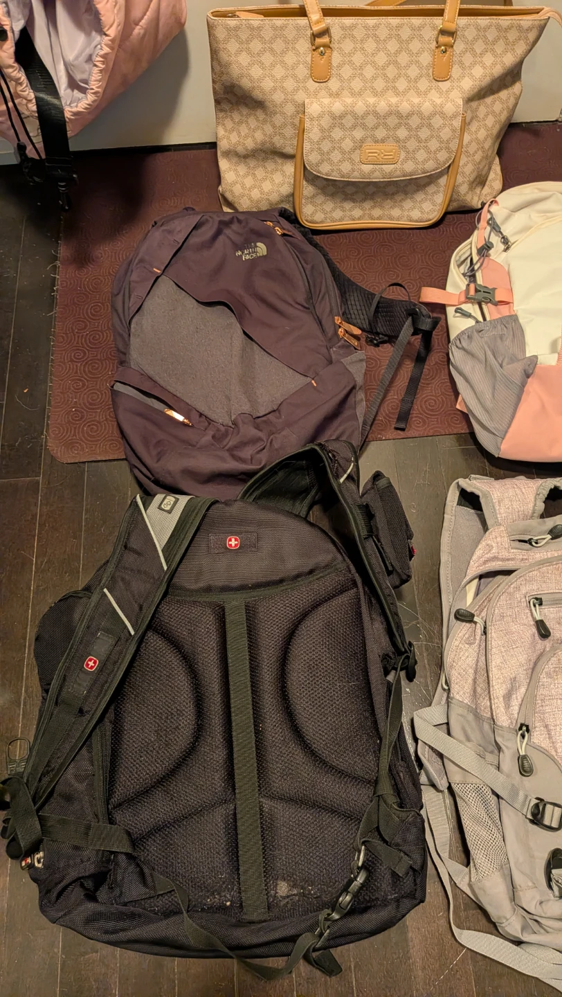 Assorted Backpacks and Tote Bag - photo 2