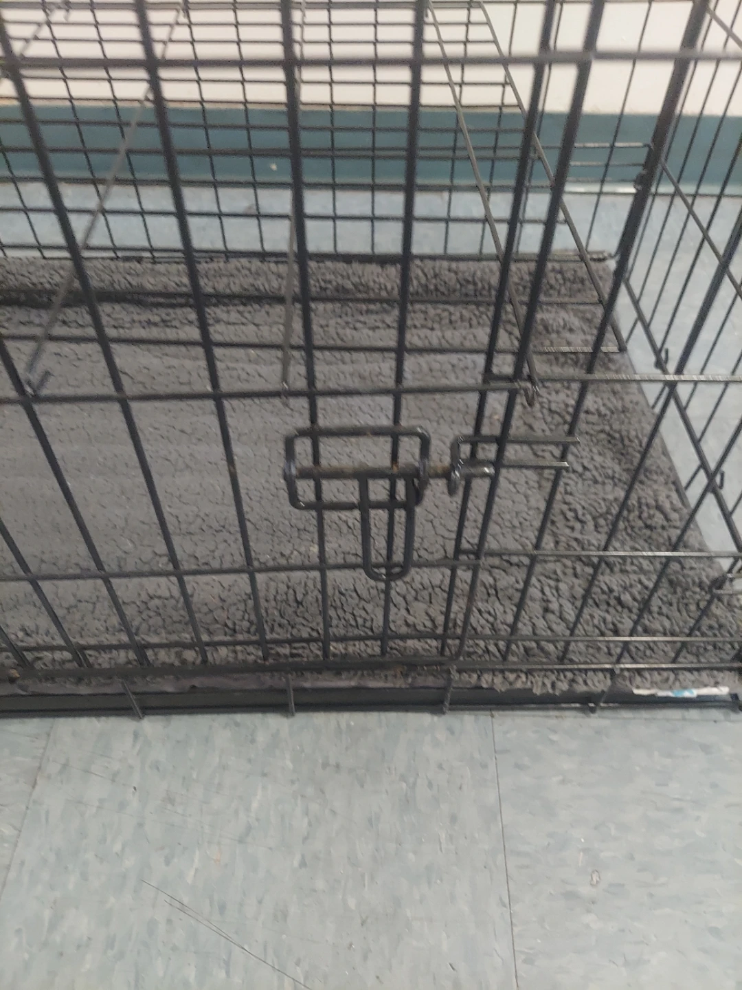 Two door folding pet crate. - photo 3