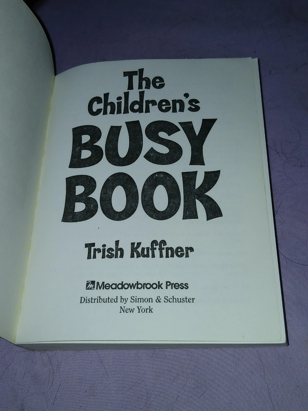The Children's Busy Book 365 Creative Activities - photo 2
