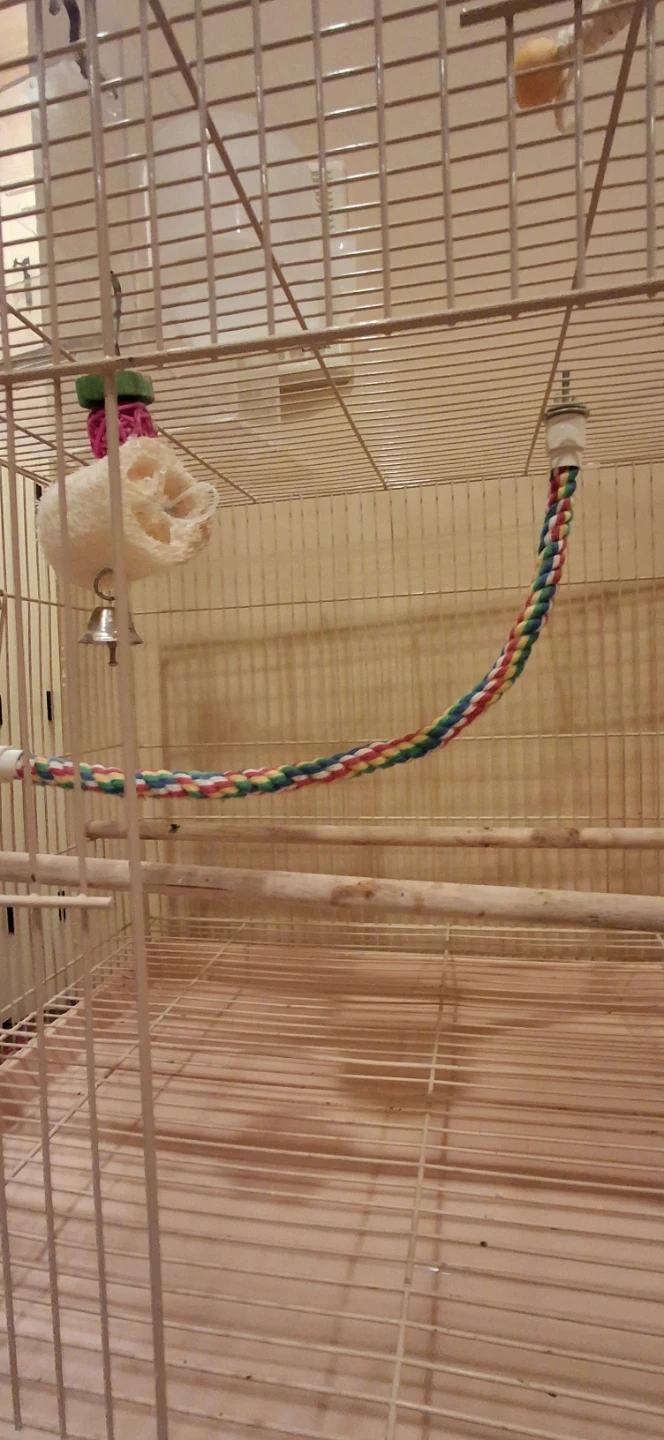 Bird cage + bird play ground - photo 5