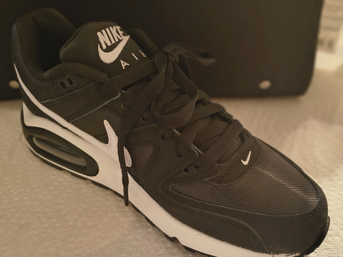 Nike Air Max Men's Running Shoes