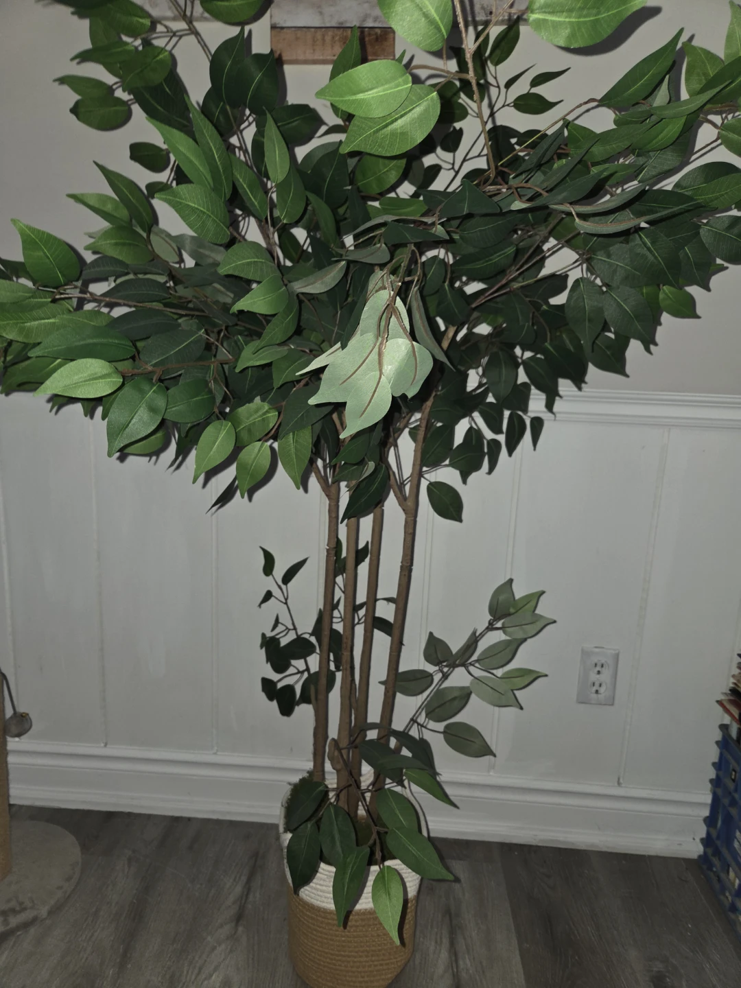 Artificial Ficus Tree in Woven Pot