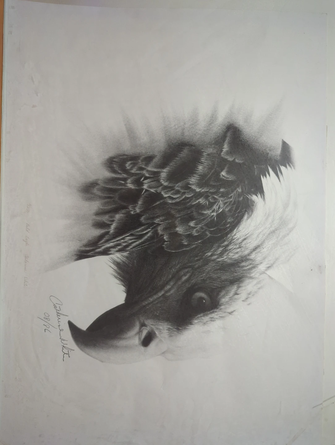Original Drawing of an Eagle - Catherine White 08/96