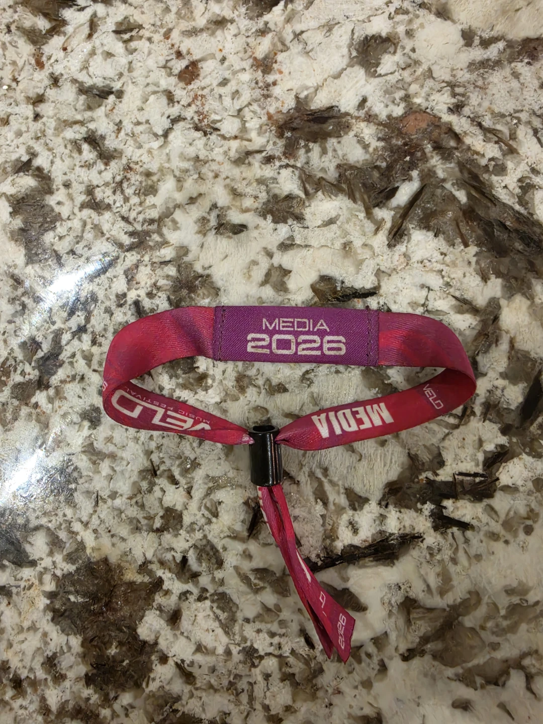 Two Veld 2026 Wristbands for Sunday