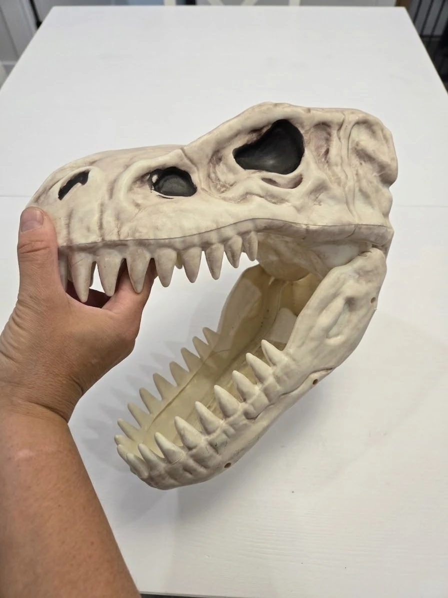 Dinosaur Skull Prop halloween