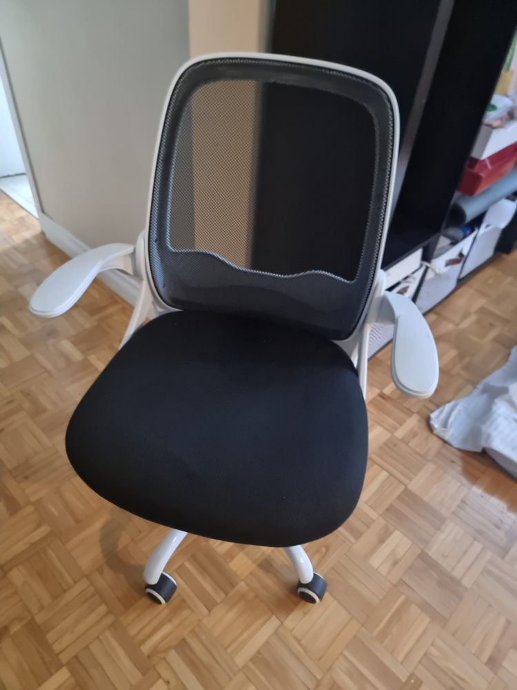 Mesh Back Office Chair