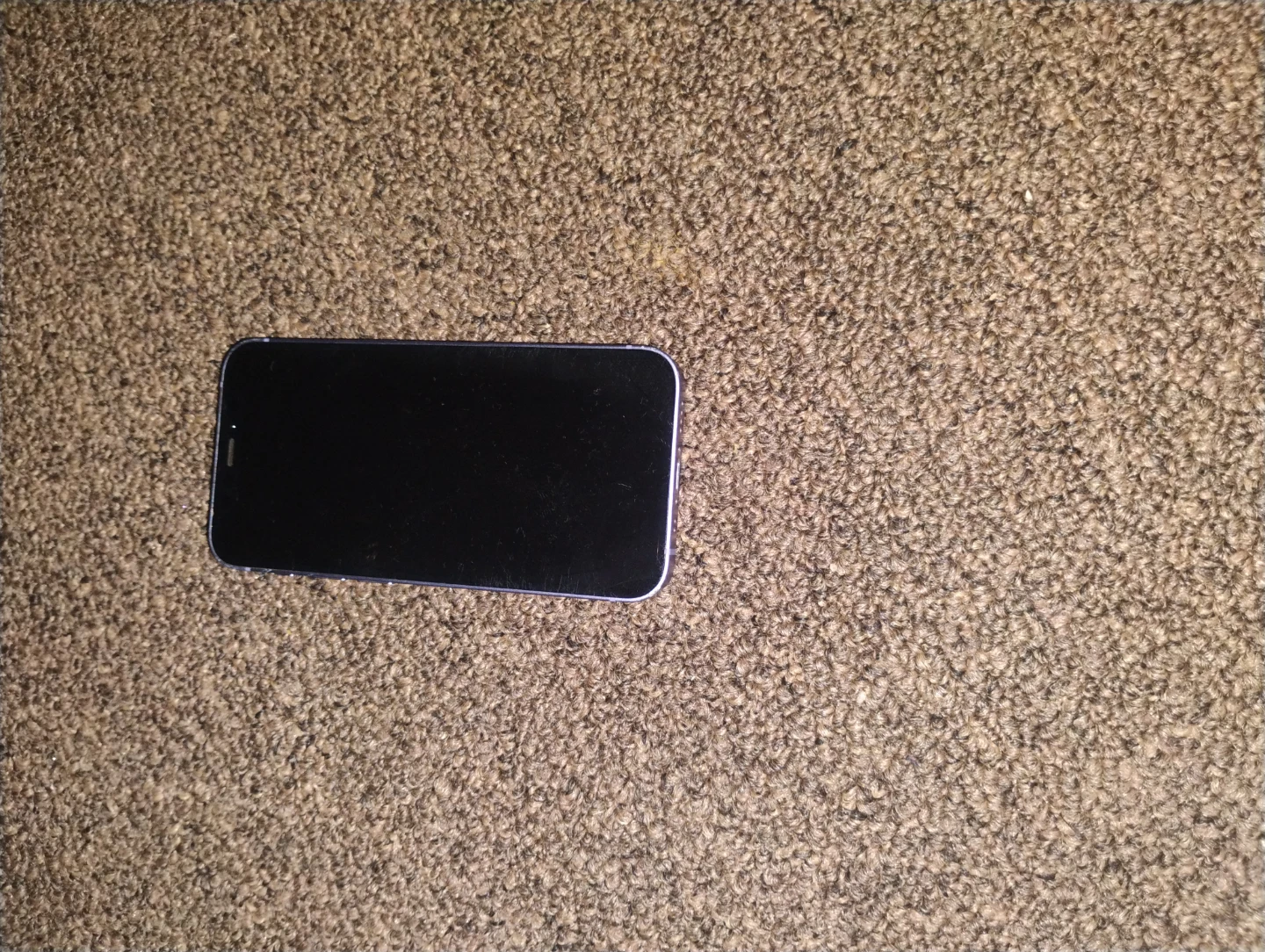 Apple iPhone 12 Mini - photo 2