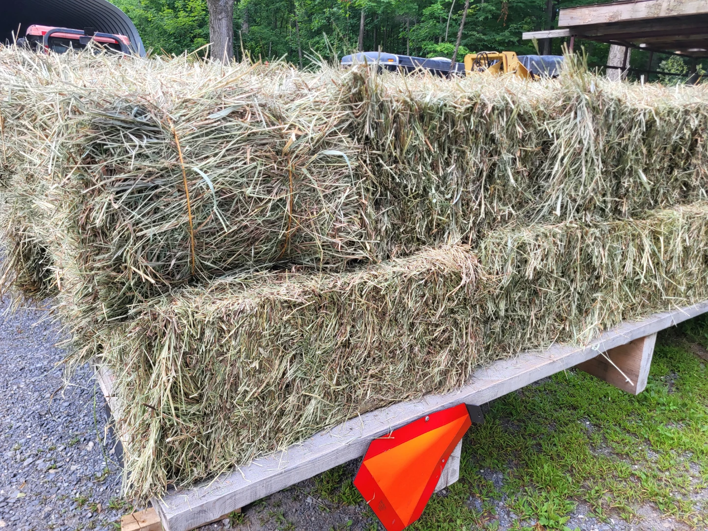 Square Bales of Grass Hay