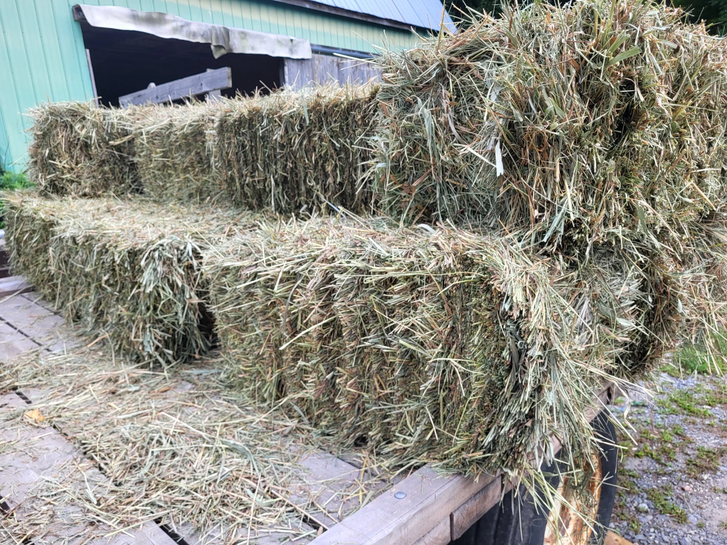 Square Bales of Grass Hay - photo 2
